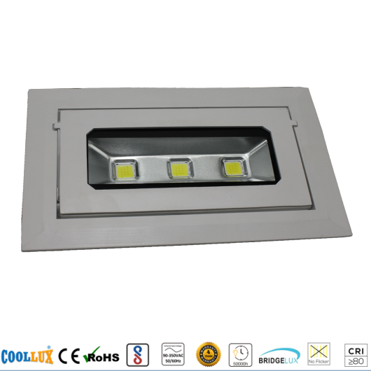 COOLLUX 30W DL024 COB LED方形象鼻灯